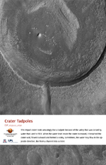 Crater Tadpoles