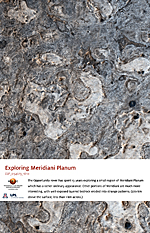 Exploring Meridiani Planum