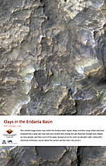Clays in the Eridania Basin