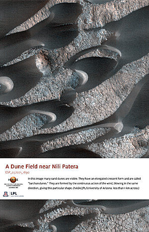 A Dune Field near Nili Patera
