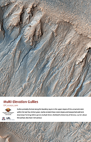 Multi-Elevation Gullies