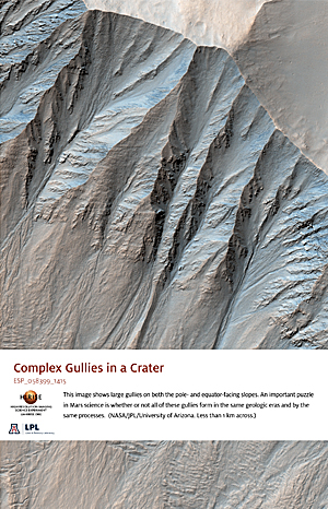 Complex Gullies in a Crater