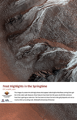 Frost Highlights in the Springtime