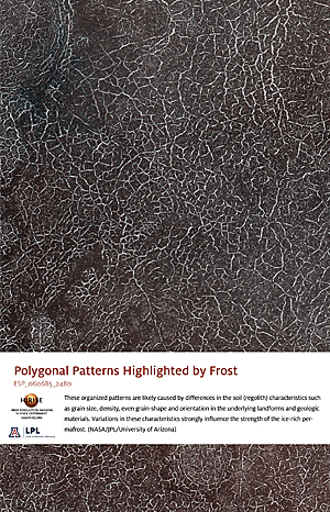 Polygonal Patterns Highlighted by Frost