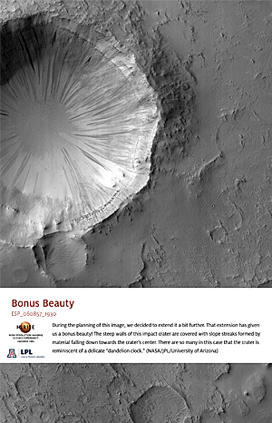 Bonus Beauty