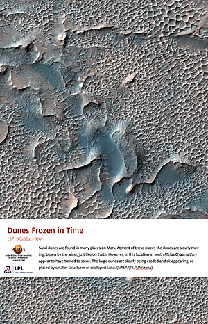 Dunes Frozen in Time
