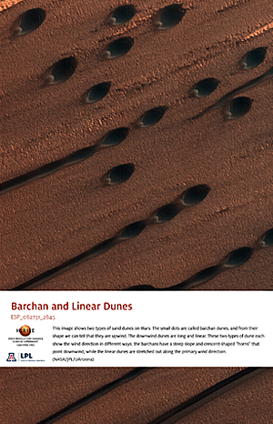 Barchan and Linear Dunes