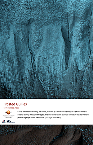 Frosted Gullies