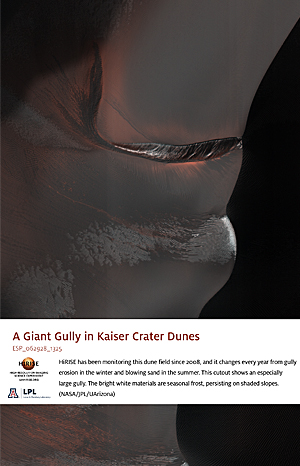 A Giant Gully in Kaiser Crater Dunes