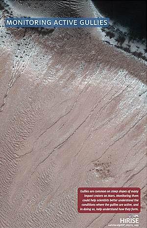 Monitoring Active Gullies