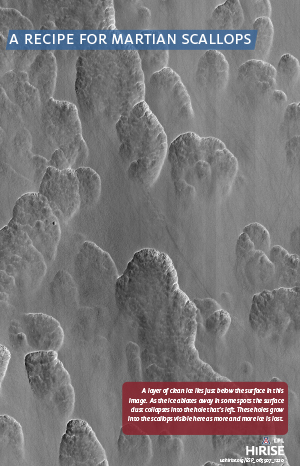 A Recipe for Martian Scallops 