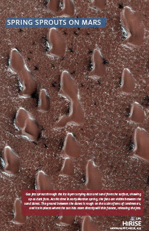 Spring Sprouts on Mars