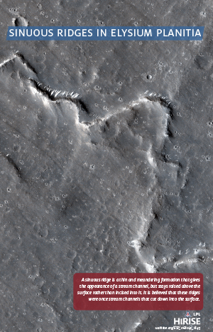 Sinuous Ridges in Elysium Planitia