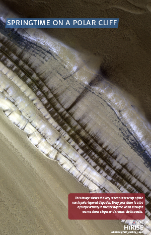 Springtime on a Polar Cliff