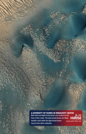 A Diversity of Dunes in Renaudot Crater