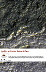 Looking at Martian Salts and Clays