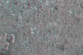 [thumbnail image]