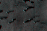 [thumbnail image]