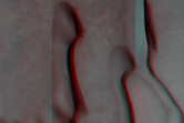 [thumbnail image]