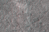 [thumbnail image]