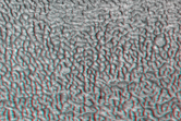 [thumbnail image]