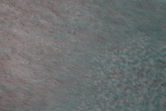 [thumbnail image]