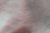 [thumbnail image]