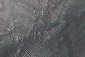 [thumbnail image]