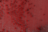 [thumbnail image]