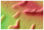 Migrating and Static Sand Ripples on Mars