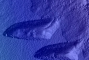 Western Rim of Well-Preserved Crater on Northern Plains
