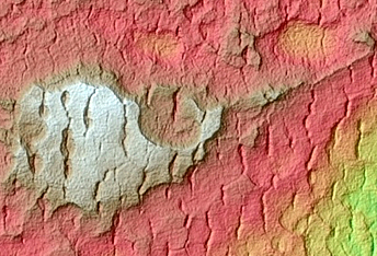 Scallop-Hosting Mantle in Utopia Planitia