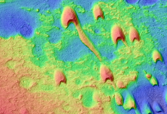 Dune Monitoring in Candidate ExoMars Landing Site in Mawrth Vallis