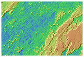 Field of Morphologically-Diverse Ring/Cone Structures in Athabasca Valles