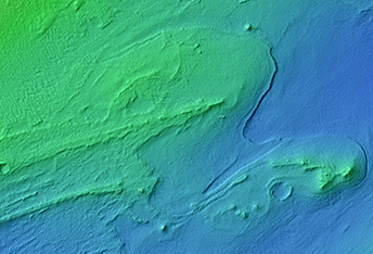 Dark Dune-Like Forms in Southern Melas Chasma