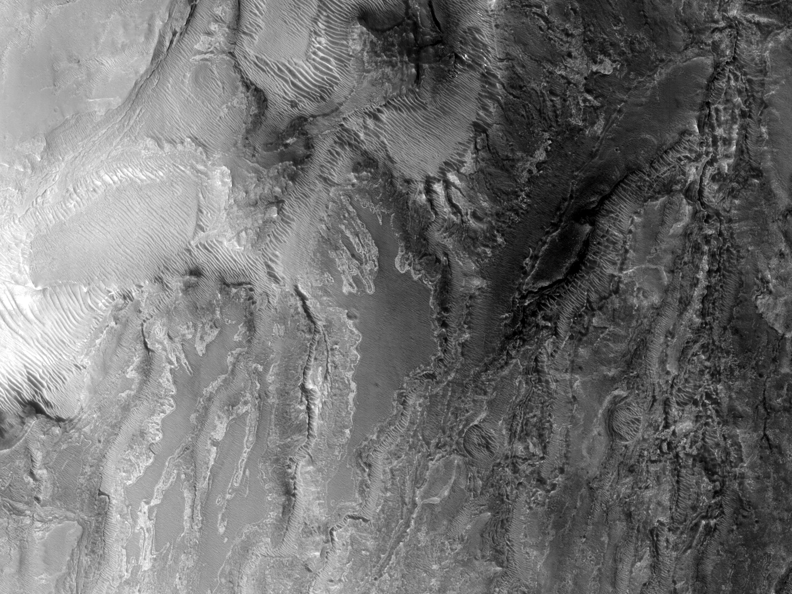 Near surface. Долины Маринер чб. Лучшие фотографии Долины Маринера. Fluvial+ Valles Marineris Melas chasma.