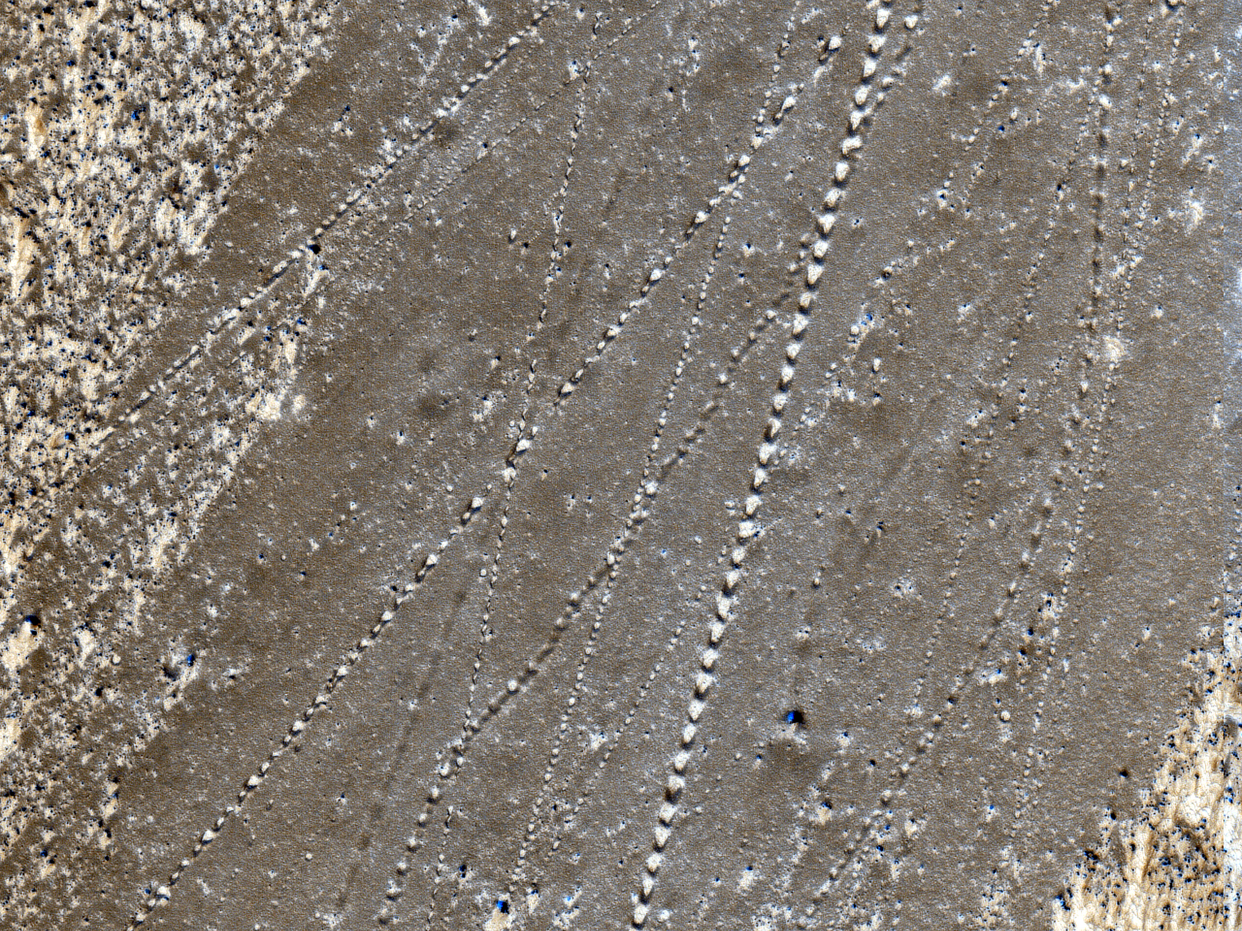 Traces de rochers sur les pentes de Noctis Labyrinthus