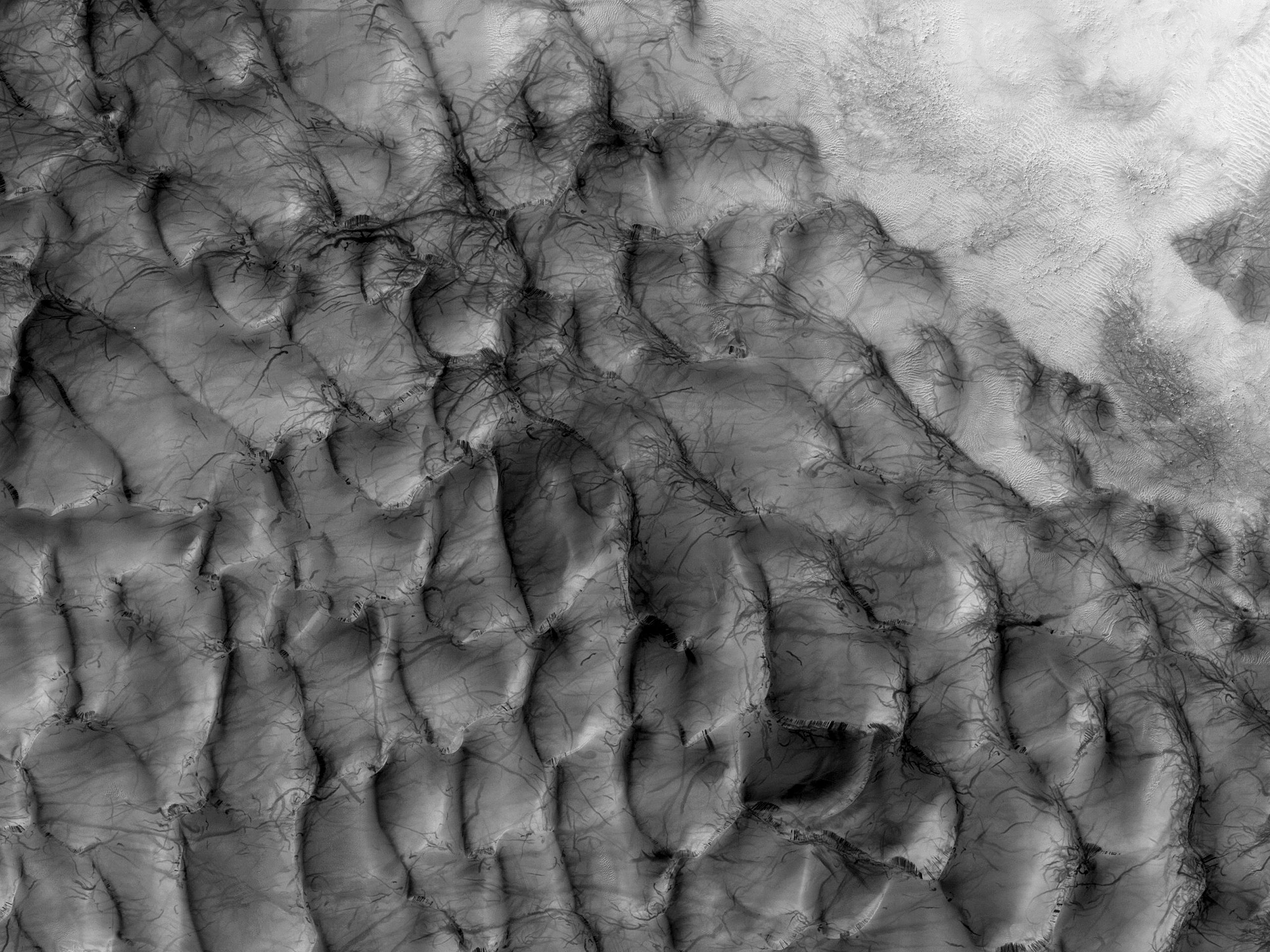 A Dune Field in Hellas Planitia