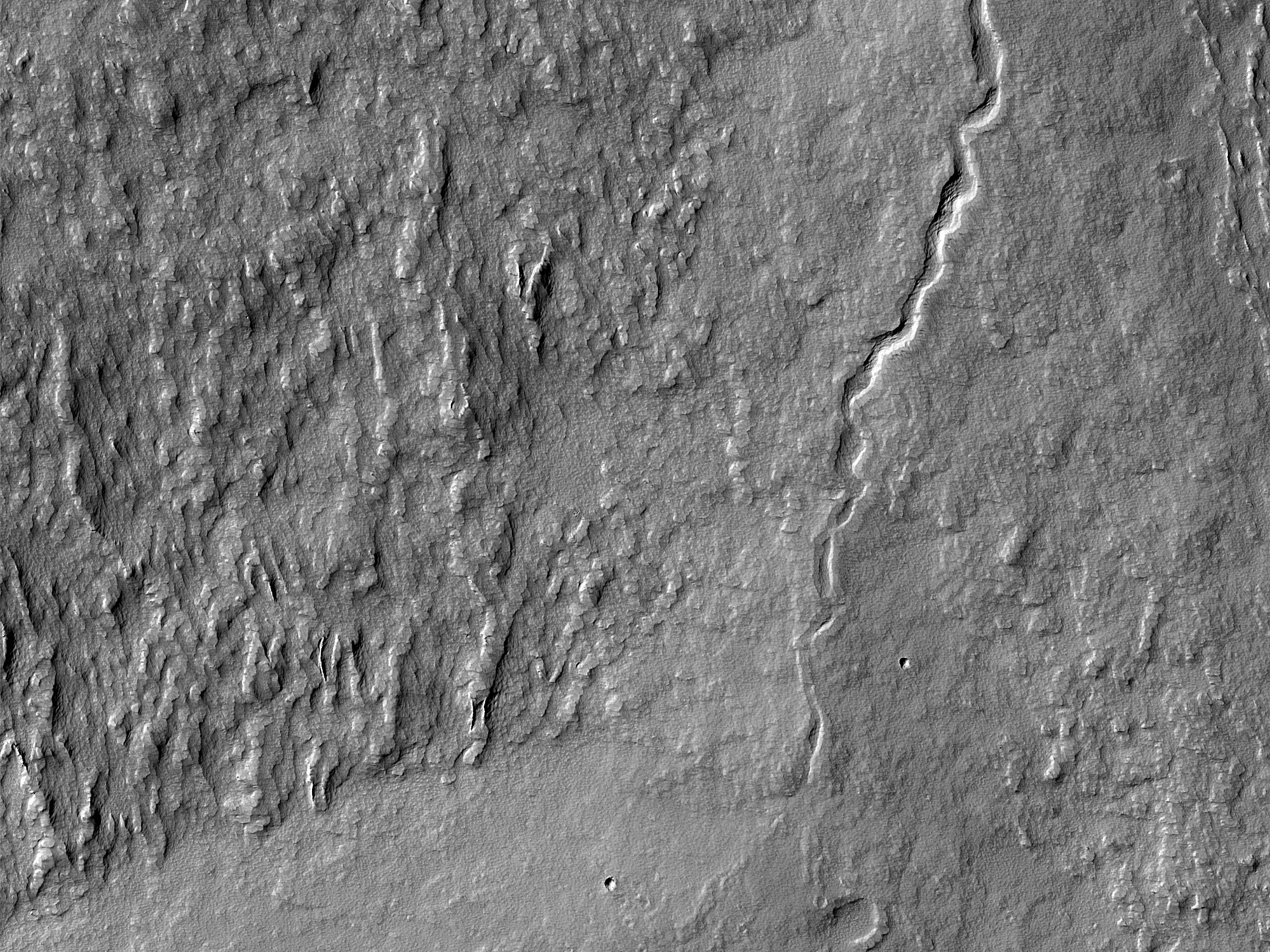 Diverse Lava Flows on Olympus Mons