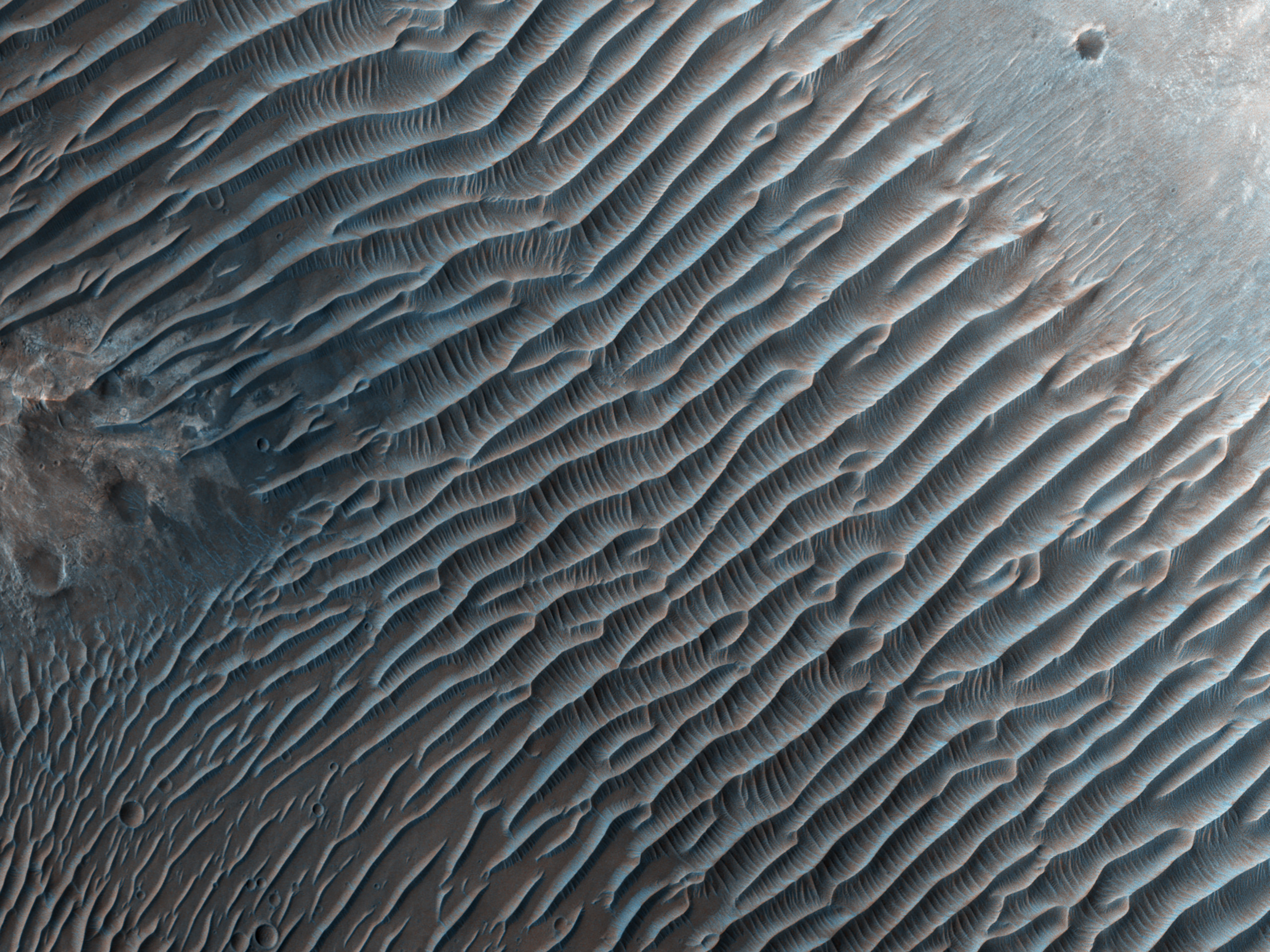 Dune Ripples in Her Desher Vallis