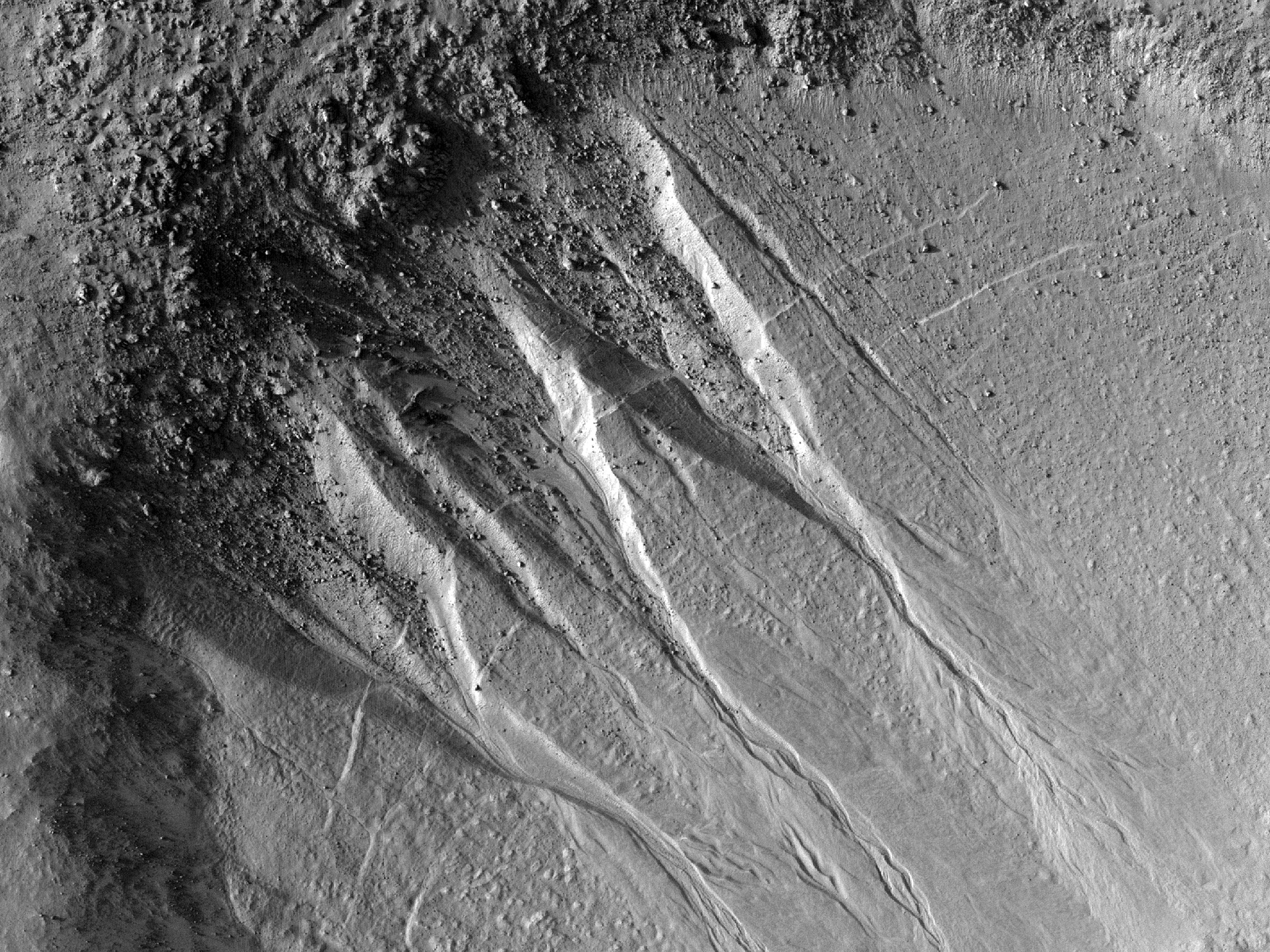 Gravine e lobi in un cratere dei Nereidum Montes