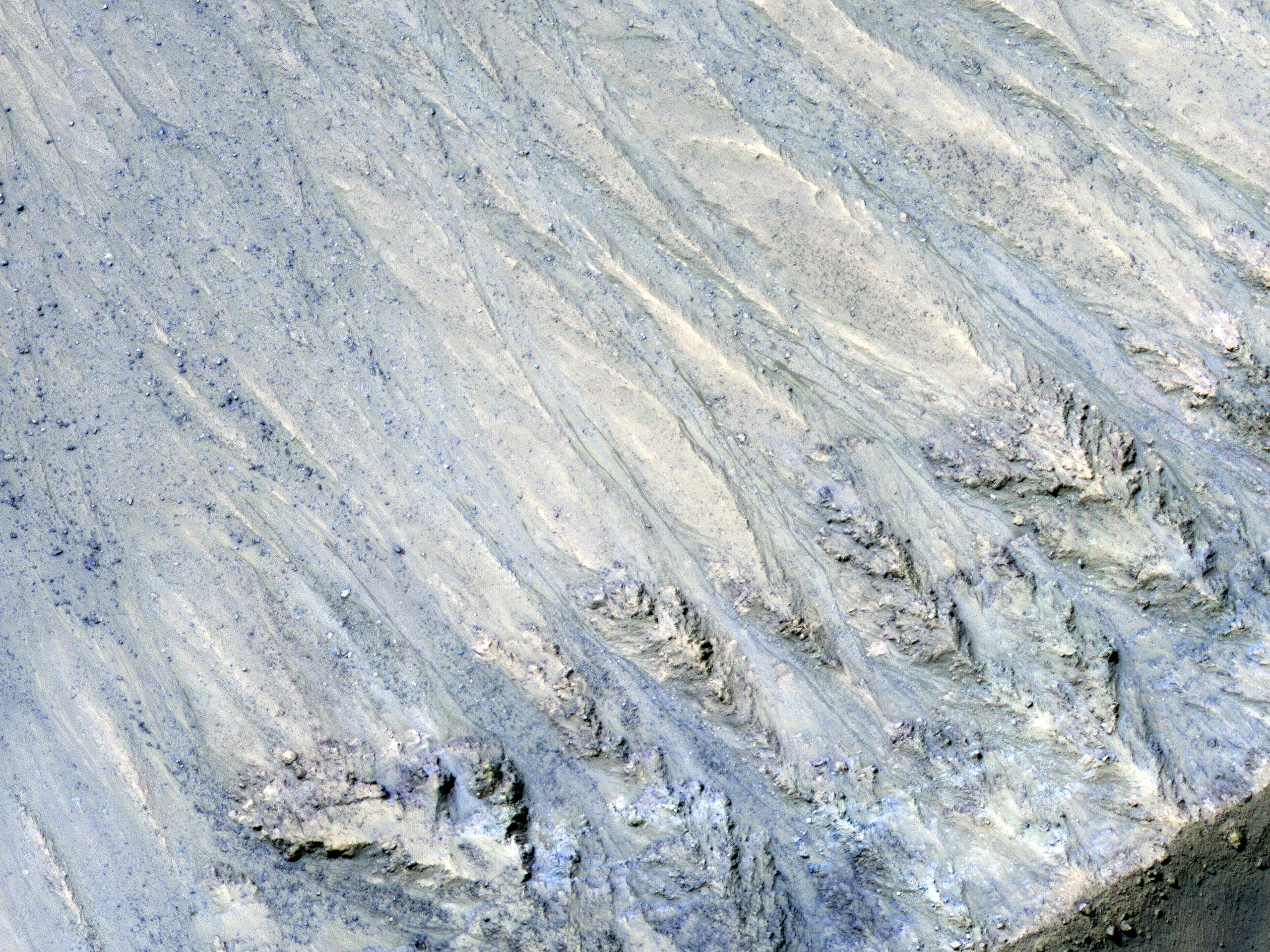 Transient Slope Lineae Formation in a Well-Preserved Crater