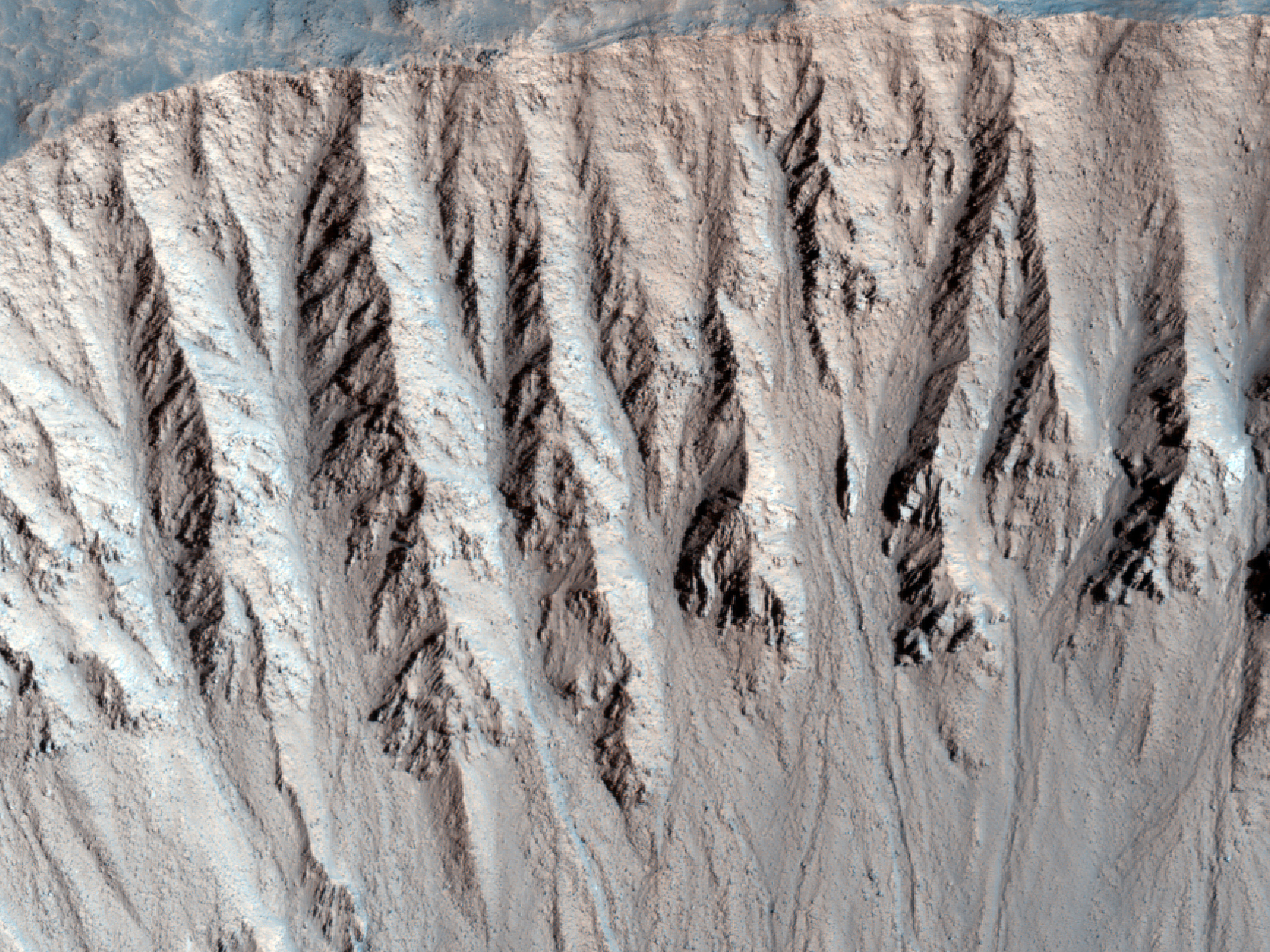 Un cratre jeune dans la rgion de Cydonia Colles