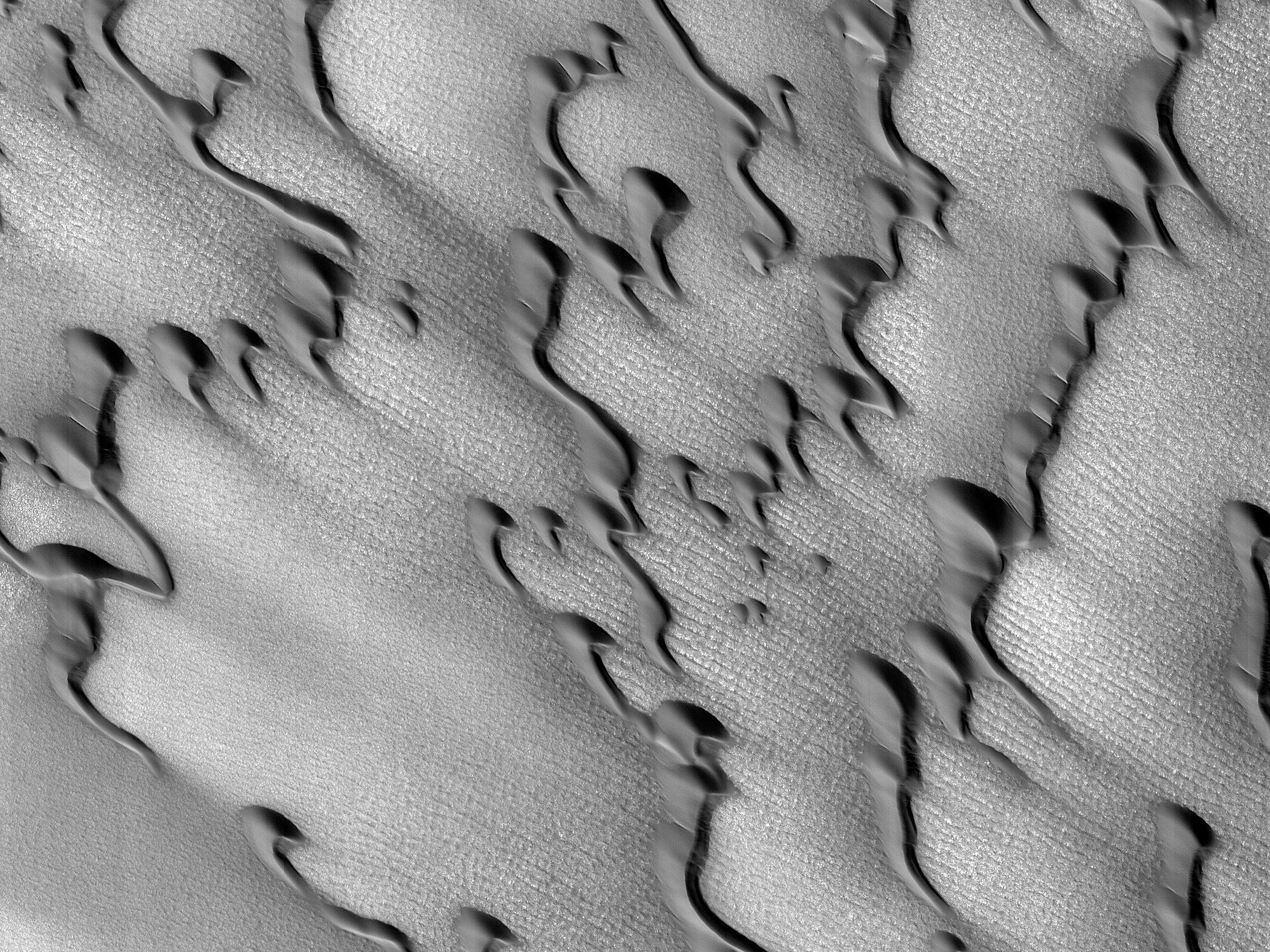 Une action abrasive du sable dans la région du Pôle Nord de Mars 