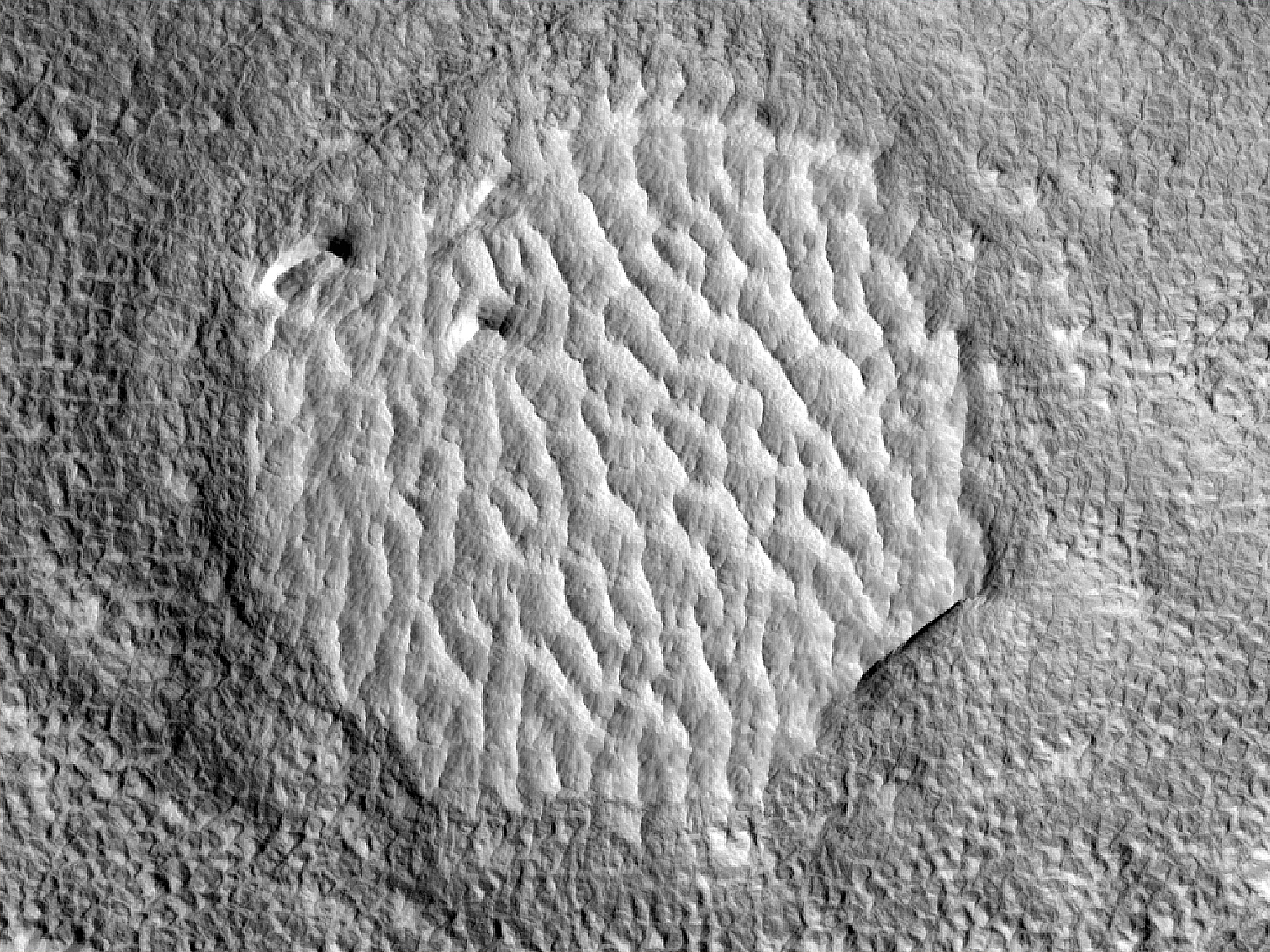 Paleobedforms across Arcadia Planitia