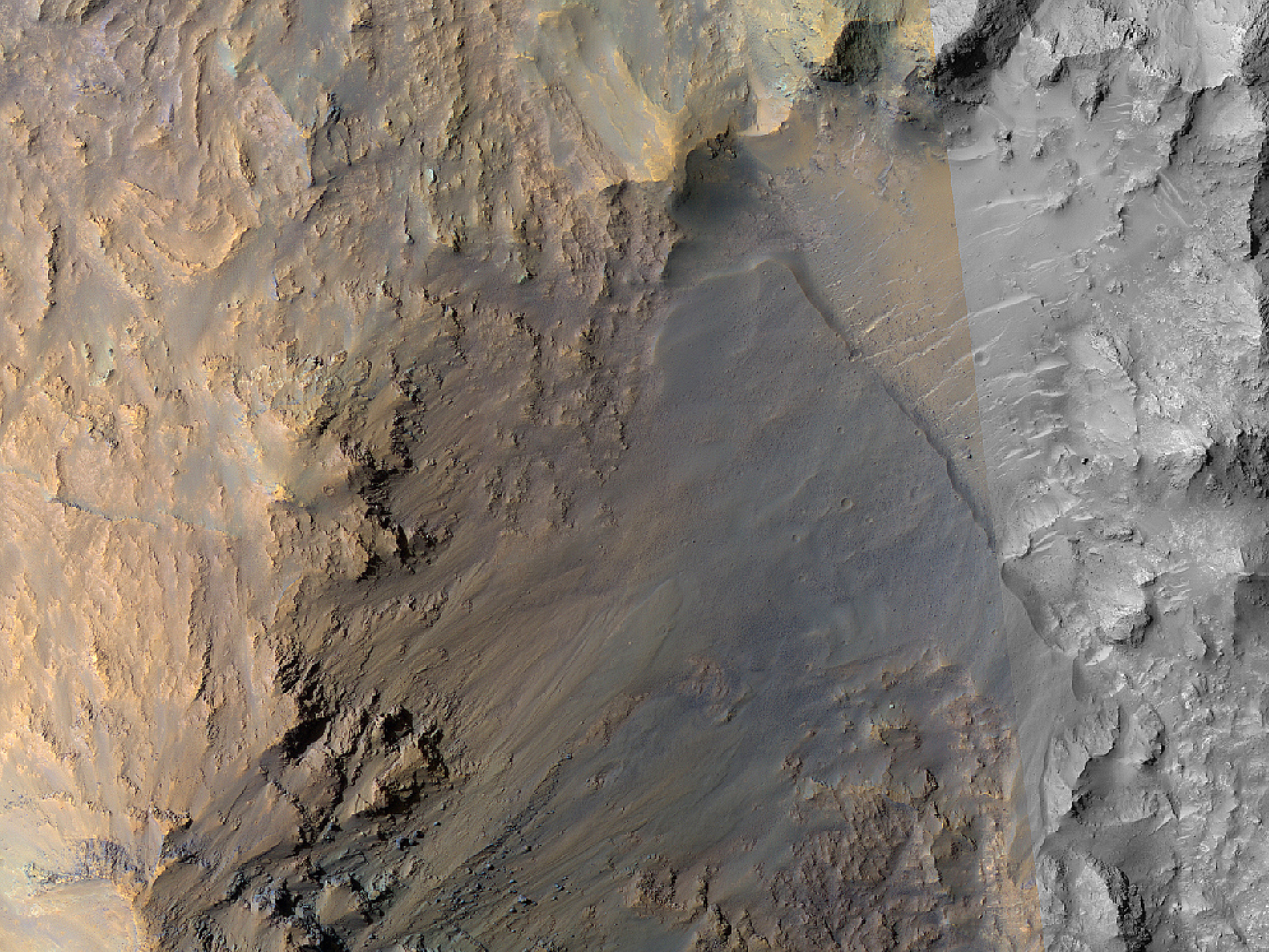 Possible Opaline Silica in the Central Uplift of Elorza Crater