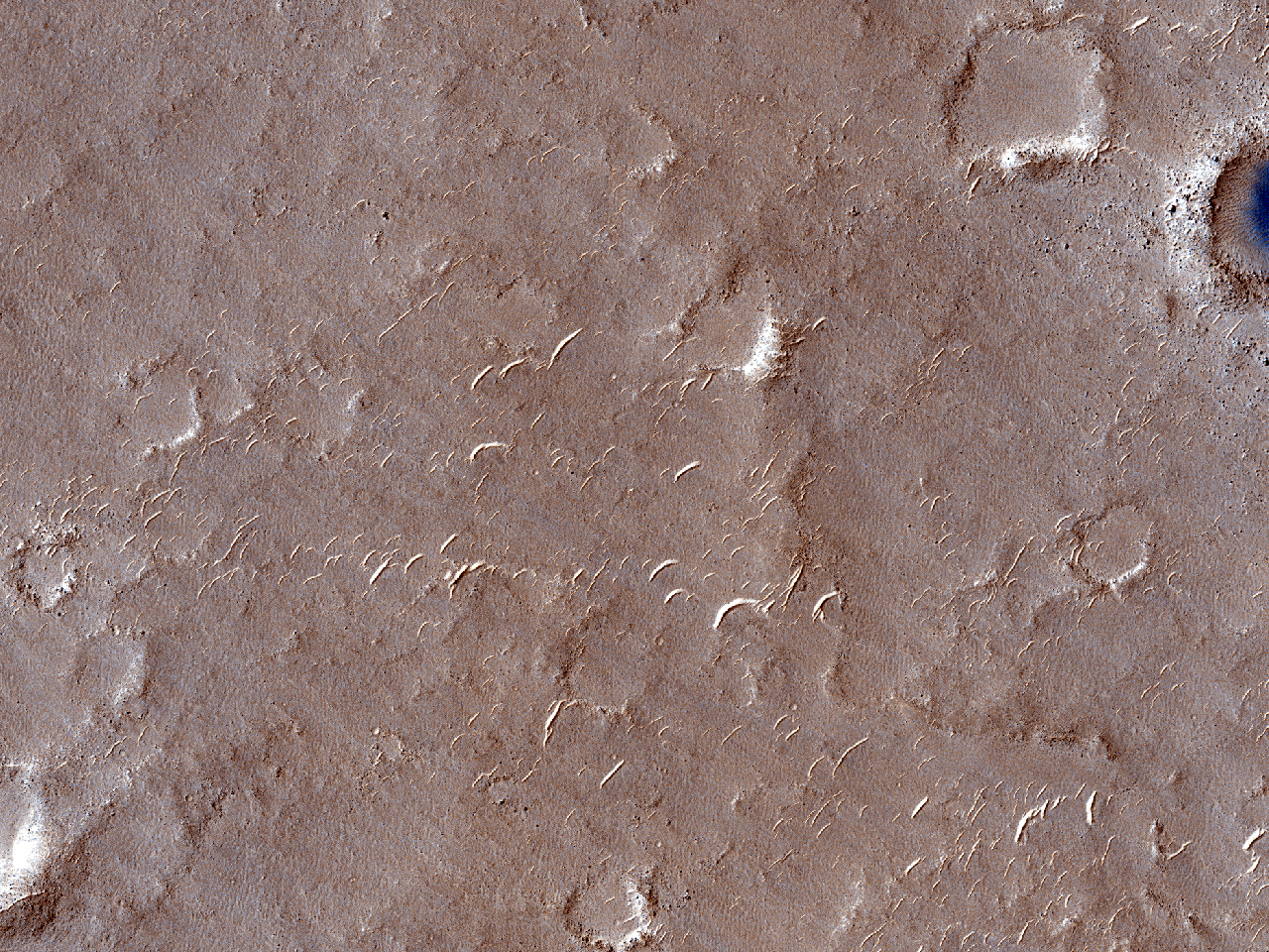 Kstenlinie im sdlichen Isidis Planitia