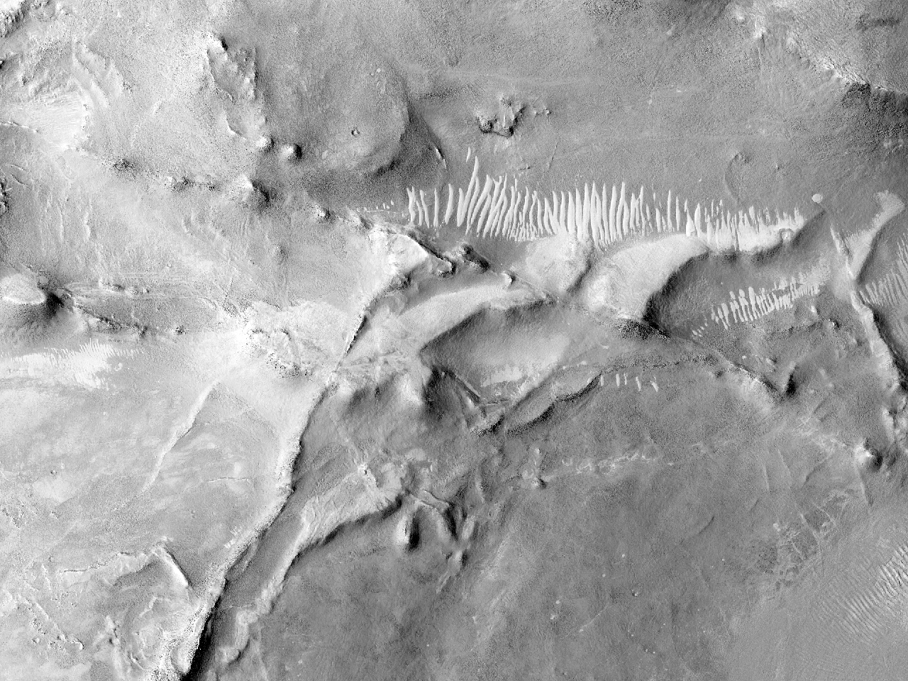 尼利槽溝地区的山脊 (Nili Fossae)