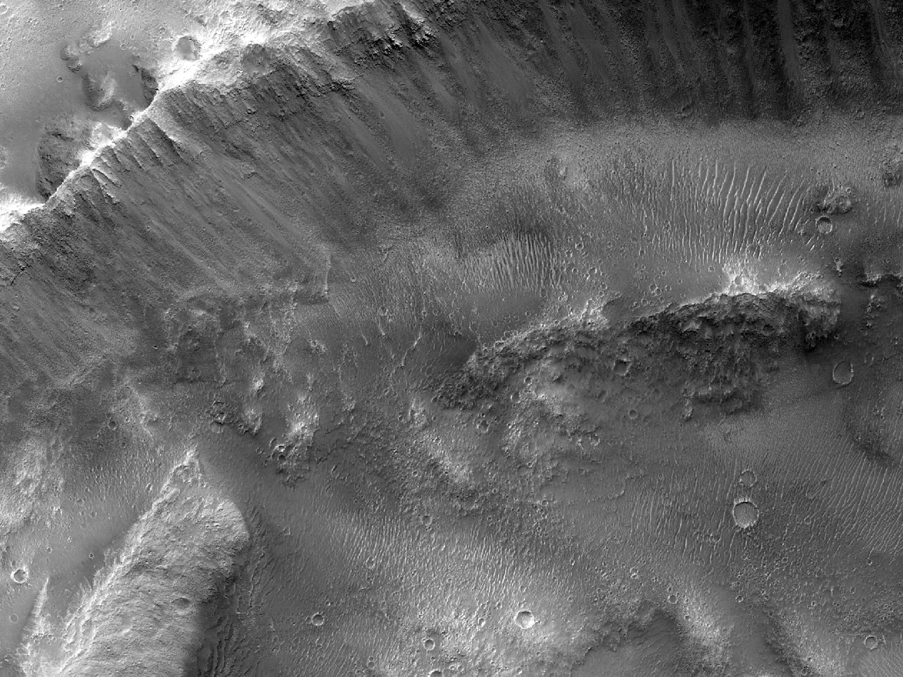 阿西达里亚平原上的火山口 (Acidalia Planitia)