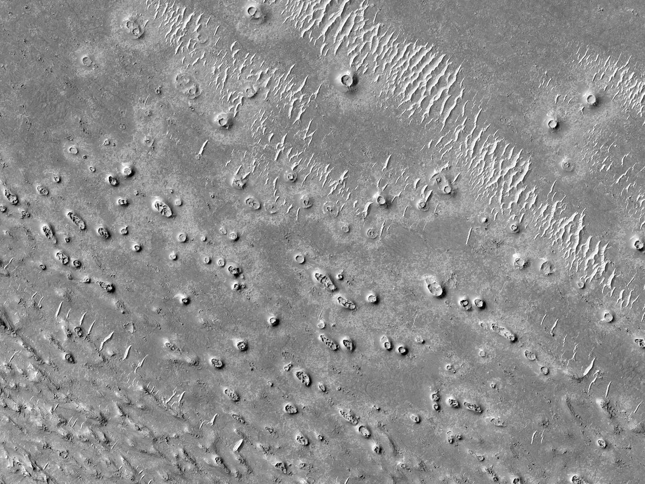 埃律西昂平原“Elysium Planitia” 地区的环状、锥状物